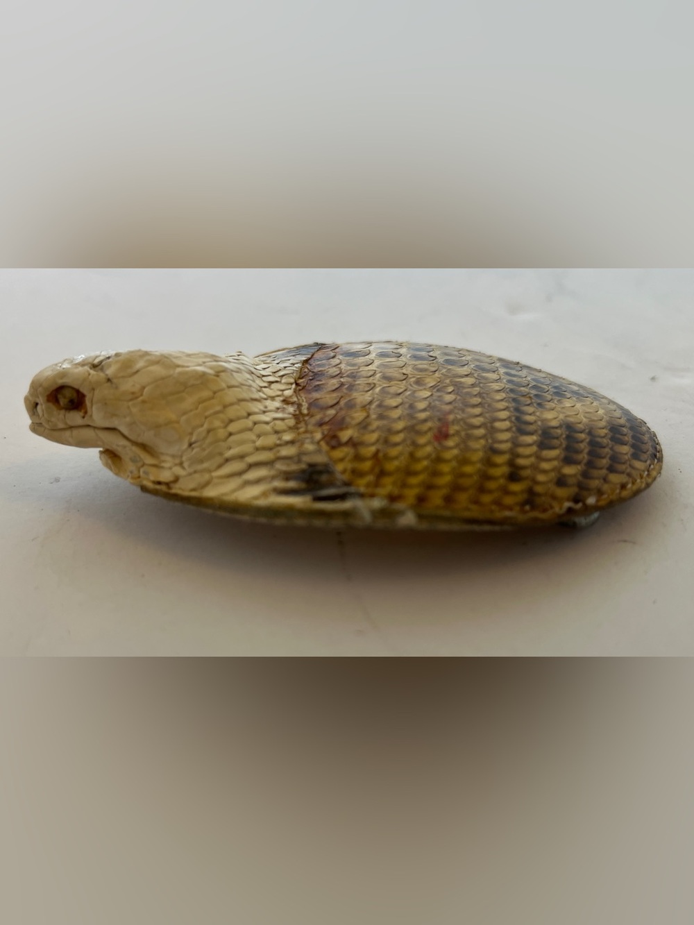 Vtg Snake Head Skin Belt Buckle